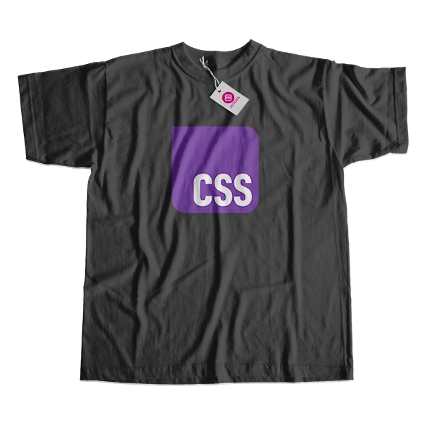 CSS